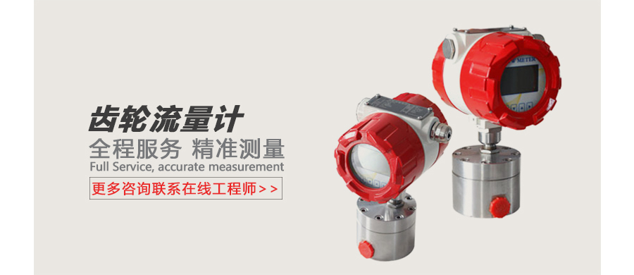 齿轮流量计广告图.jpg