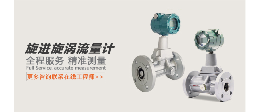 旋进旋涡流量计广告图.jpg