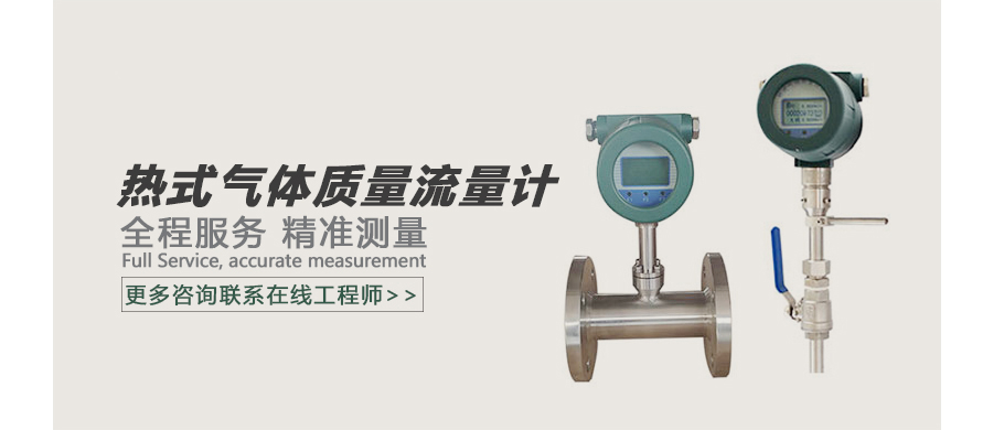 热式气体质量流量计广告图.jpg