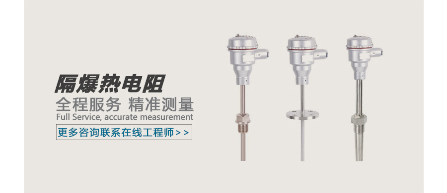 隔爆热电阻广告图.jpg