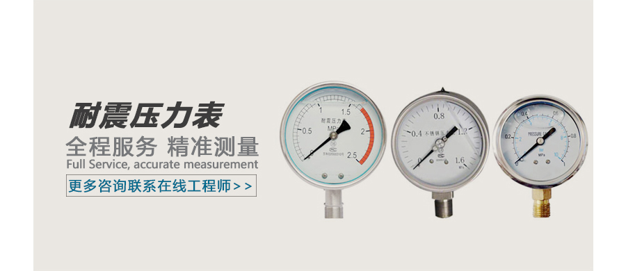 耐震压力表广告图.jpg