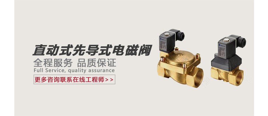 直动式先导式电磁阀 广告图.jpg